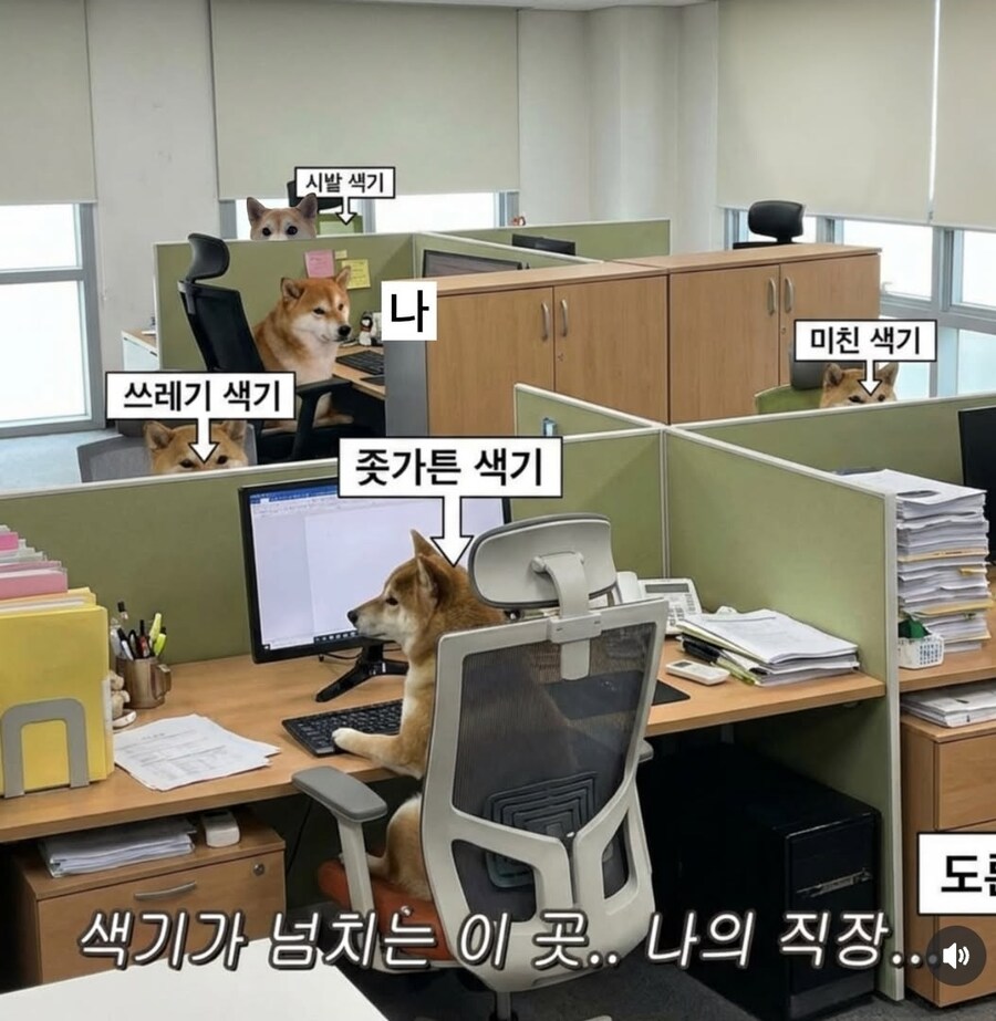 색기가 가득한 우리 회사 사무실_1.jpg