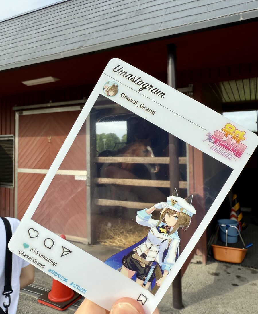 말딸) 자작 포토카드를 들고 홋카이도를 돌고 왔어 (말 구경편)_13.jpg