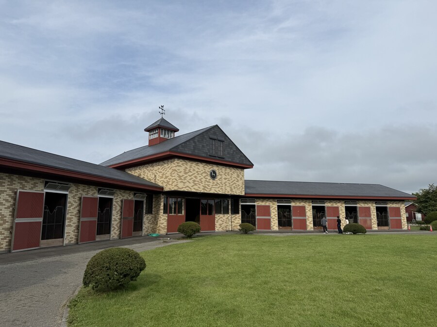 말딸) 자작 포토카드를 들고 홋카이도를 돌고 왔어 (말 구경편)_5.jpg