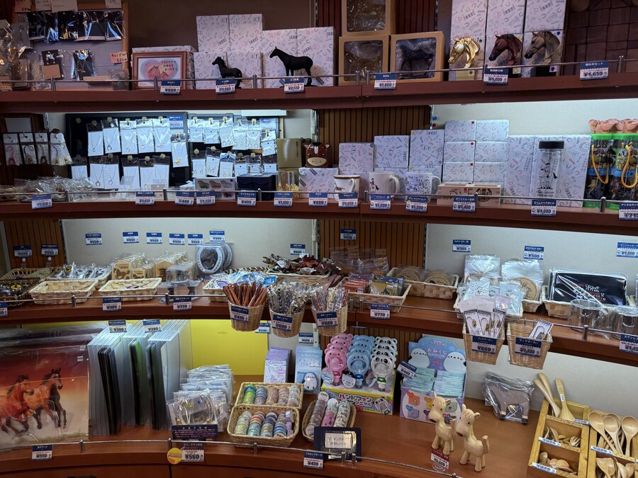 말딸) 자작 포토카드를 들고 홋카이도를 돌고 왔어 (말 구경편)_24.jpg