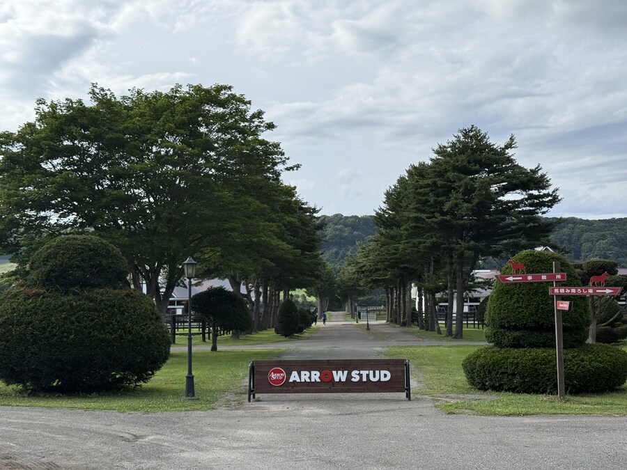 말딸) 자작 포토카드를 들고 홋카이도를 돌고 왔어 (말 구경편)_48.jpg