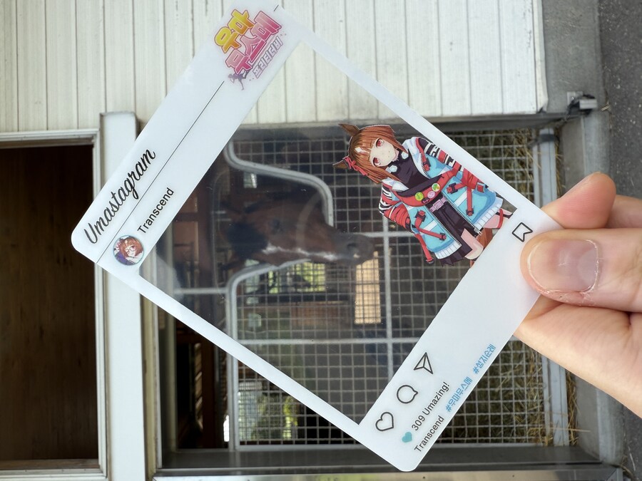 말딸) 자작 포토카드를 들고 홋카이도를 돌고 왔어 (말 구경편)_51.jpg