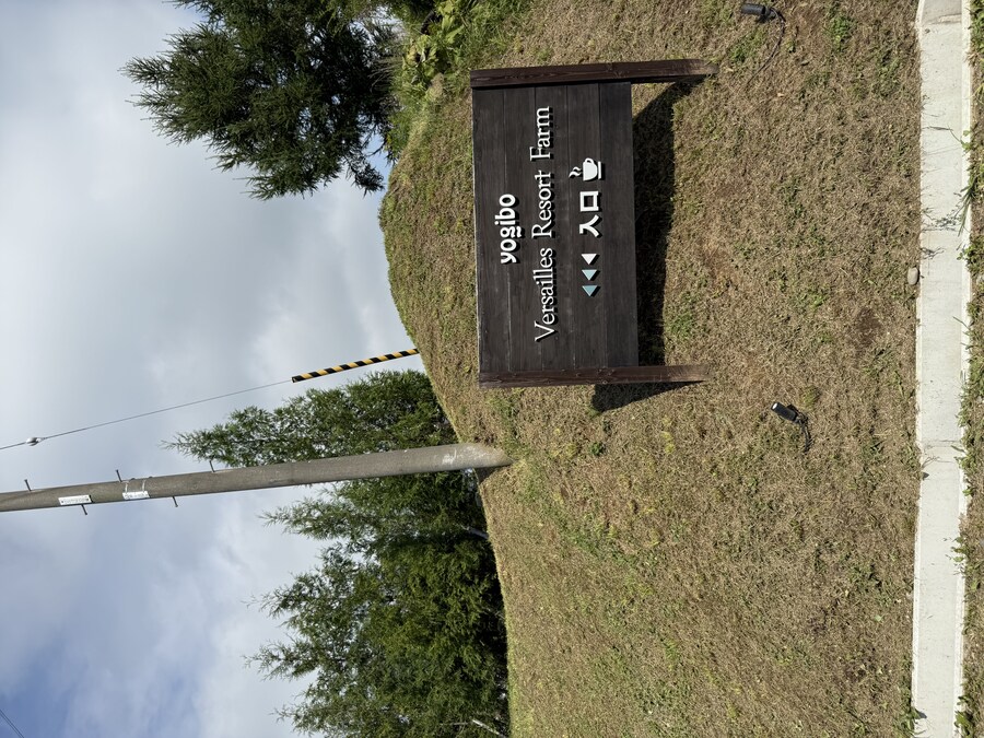 말딸) 자작 포토카드를 들고 홋카이도를 돌고 왔어 (말 구경편)_71.jpg