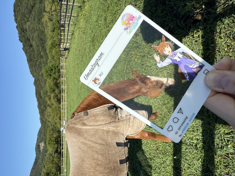 말딸) 자작 포토카드를 들고 홋카이도를 돌고 왔어 (말 구경편)_98.jpg