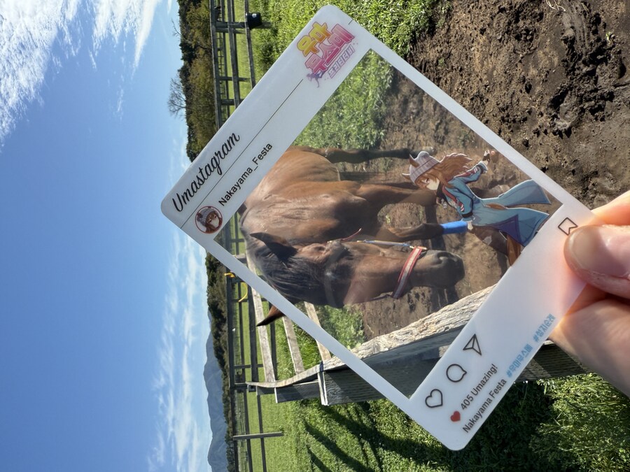 말딸) 자작 포토카드를 들고 홋카이도를 돌고 왔어 (말 구경편)_102.jpg