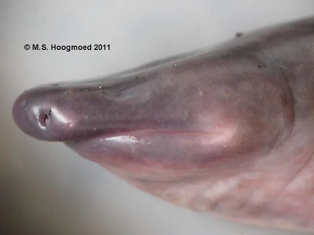 ??? : 진짜 ㅈ같이 생겼네.JPG_5.webp