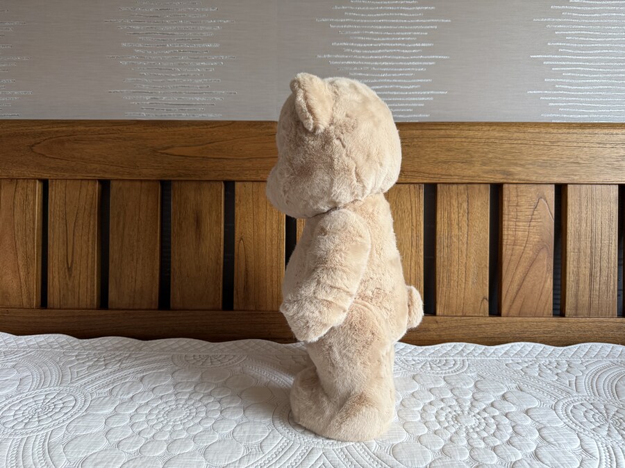 테디테일즈 레나베어 60cm_6.jpg