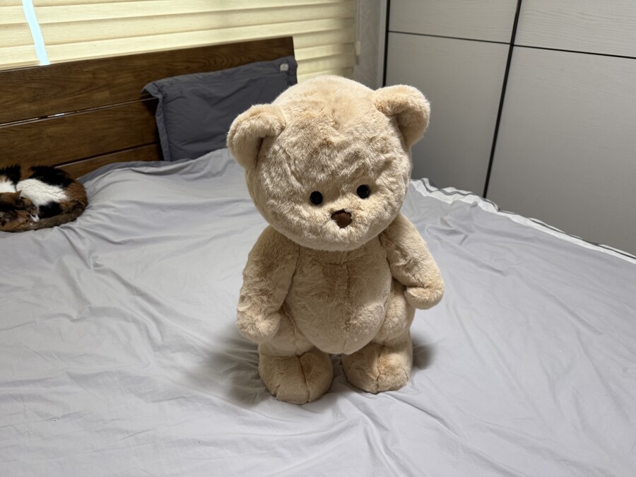 테디테일즈 레나베어 60cm_10.jpg