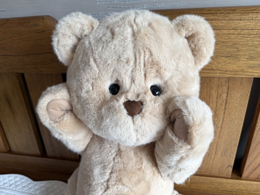 테디테일즈 레나베어 60cm_13.jpg
