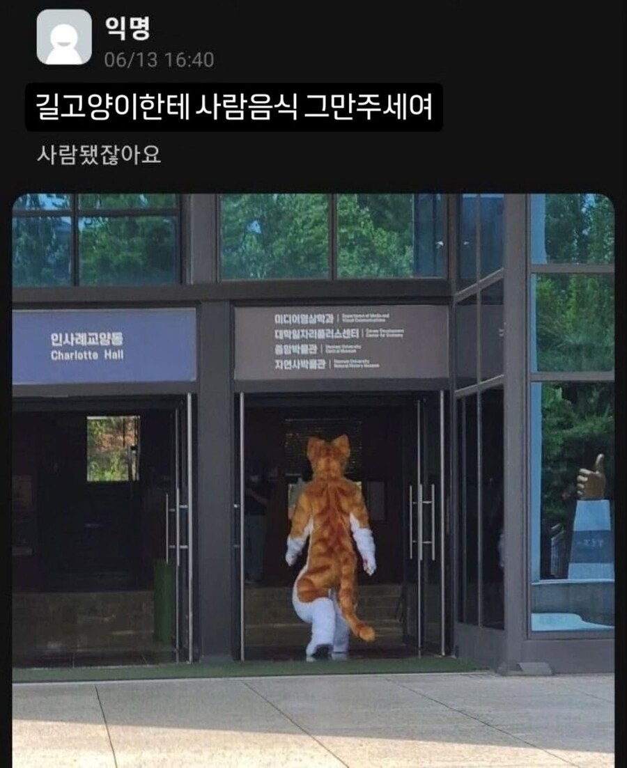 길고양이에게 사람음식 주면 안되는 이유_1.jpg