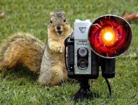 최초의 한국 영화의 정체.movie_9.jpg