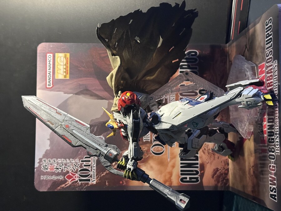 MG 발바토스 루푸스 + led + 아크릴스탠드_14.jpg