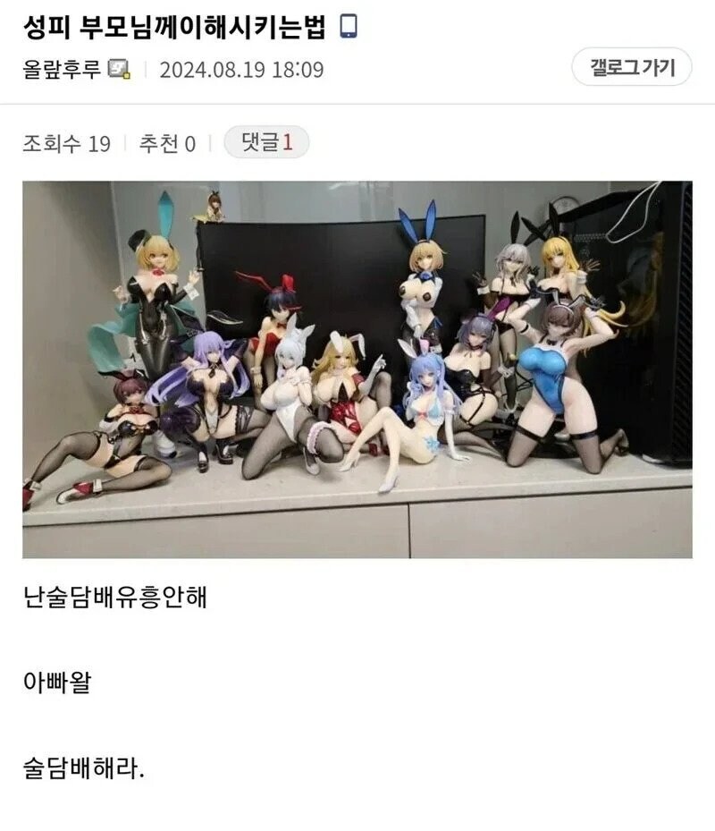 부모님께 성인피규어 이해시키는 법_1.jpg