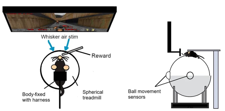 "어떤 기기에서도" 둠을 돌리는게 지겨웠던 사람들_2.png