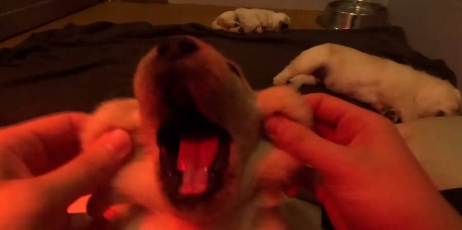 아이 귀여워_5.png