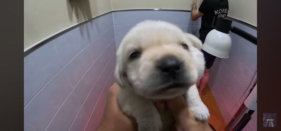 아이 귀여워_2.jpg