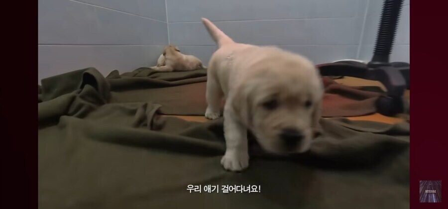 아이 귀여워_3.jpg