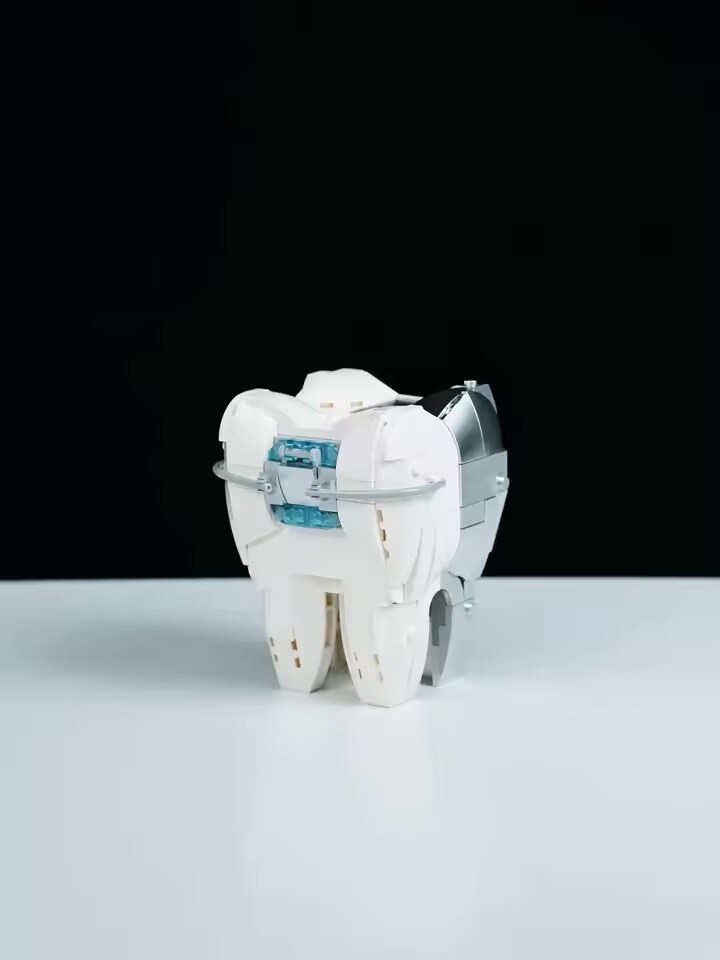 중국 짭 레고 근황.dental_2.jpg