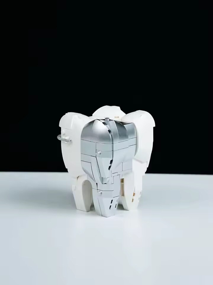 중국 짭 레고 근황.dental_4.jpg