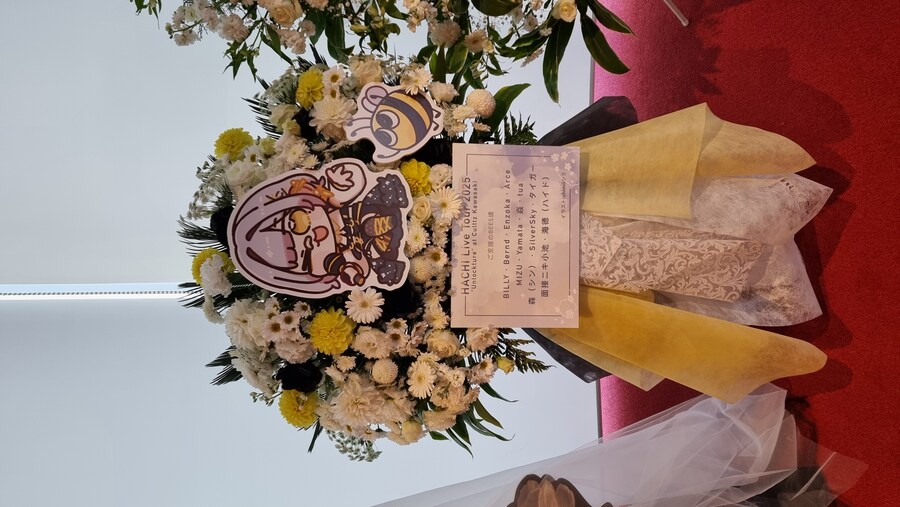 스압) 하치 라이브 및 이것저것 일본 여행 결산_2.jpg