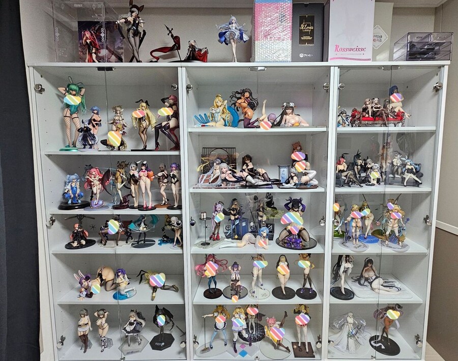 피규어 수집한다고 전부 씹덕이라고 생각하면 안됨_2.jpg