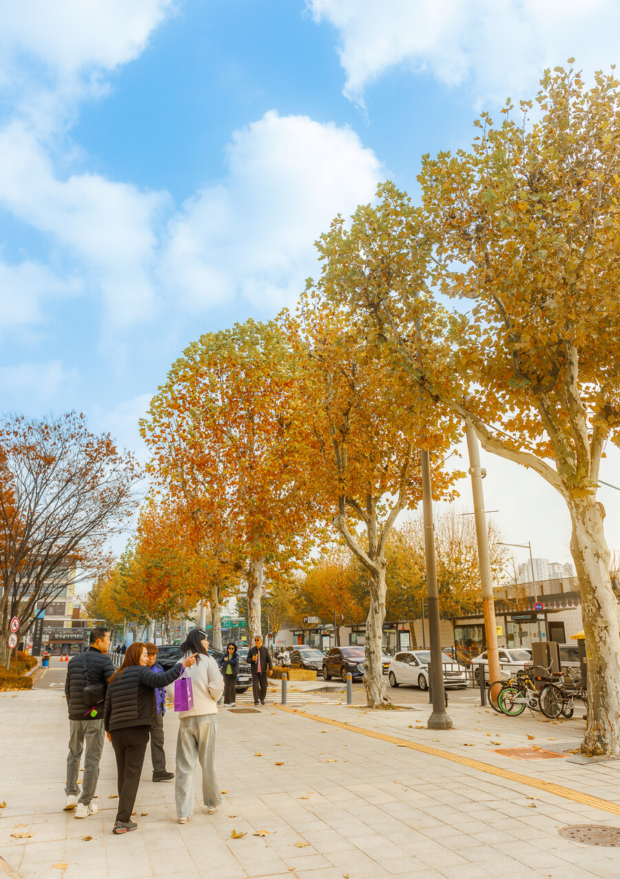 종묘 단풍구경_1.jpg