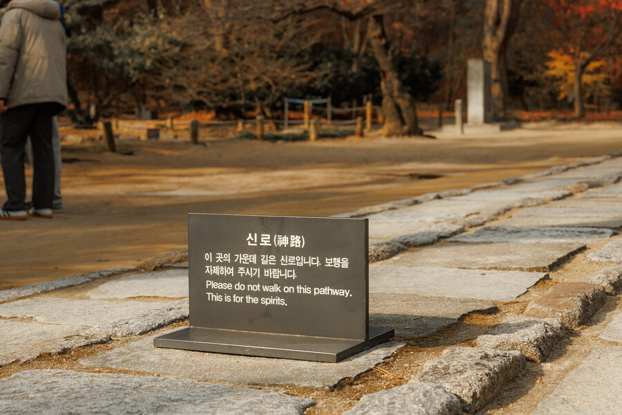 종묘 단풍구경_5.jpg