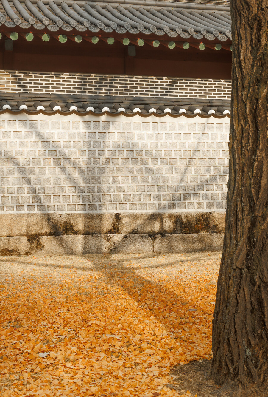 종묘 단풍구경_18.jpg