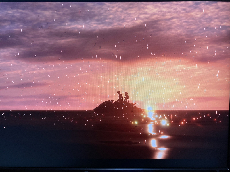 바이오하자드 리바이벌 셀렉션_14.jpg