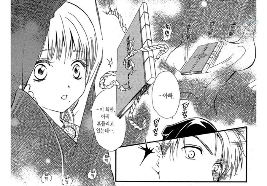 판타지 이세계물 순정만화에 나오는 아주 개 ㅈ같은 아이템_5.jpg