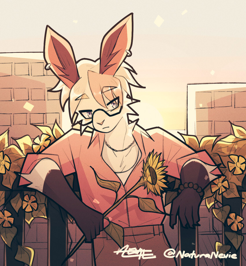 곶과 퍼리와_3.jpg