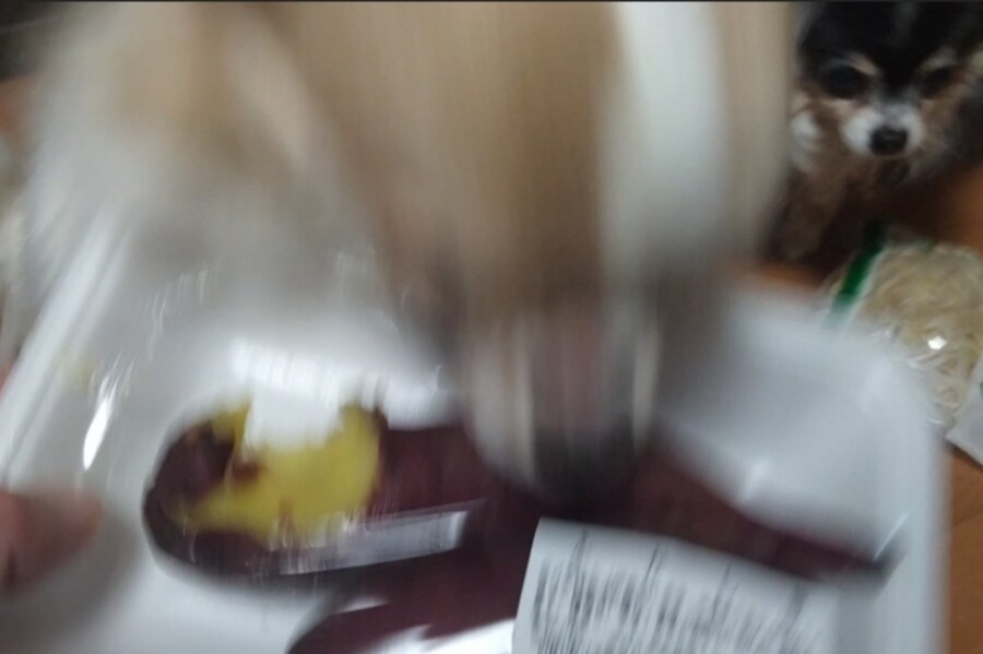 개들에게 고구마란 무엇인가.jpg_3.jpg