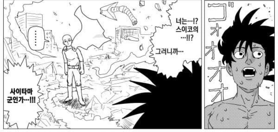 원펀맨. 스이류의 여동생 스이코는_4.jpg