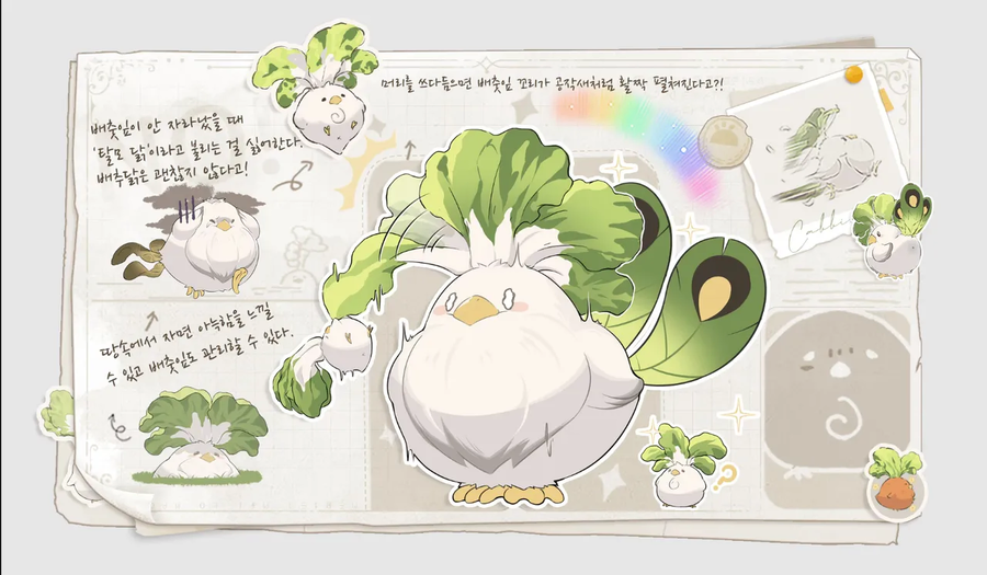 개추는 아는데 계추는 뭐냐_3.webp