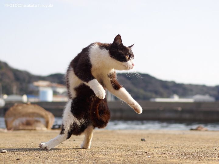 아직까지 필름이 남아있는 한국 영화.movie_9.jpg