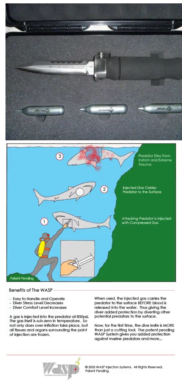 호주에서 상어들의 공격이 줄어든 이유 / 내용 추가_1.png