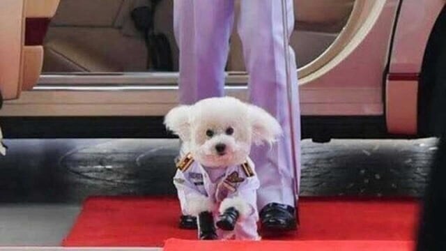 태국 공군이 현재 위기인 이유_1.jpg