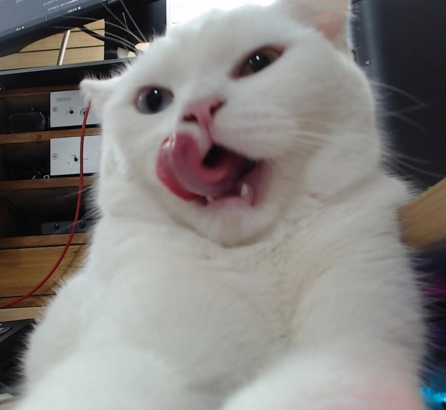 하 요즘 유게이들은 너무 서로간에 갈등을 푸씨들처럼 해결해_1.png