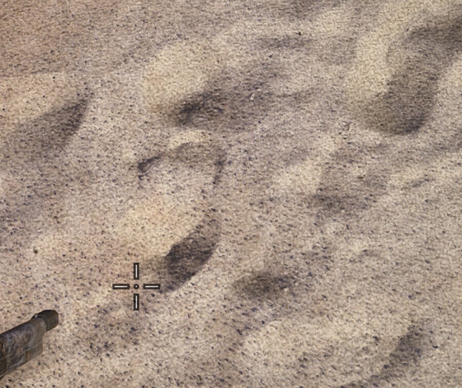 아크 레이더스 그래픽 옵션 (시네마틱) 업데이트로 추가_1.png