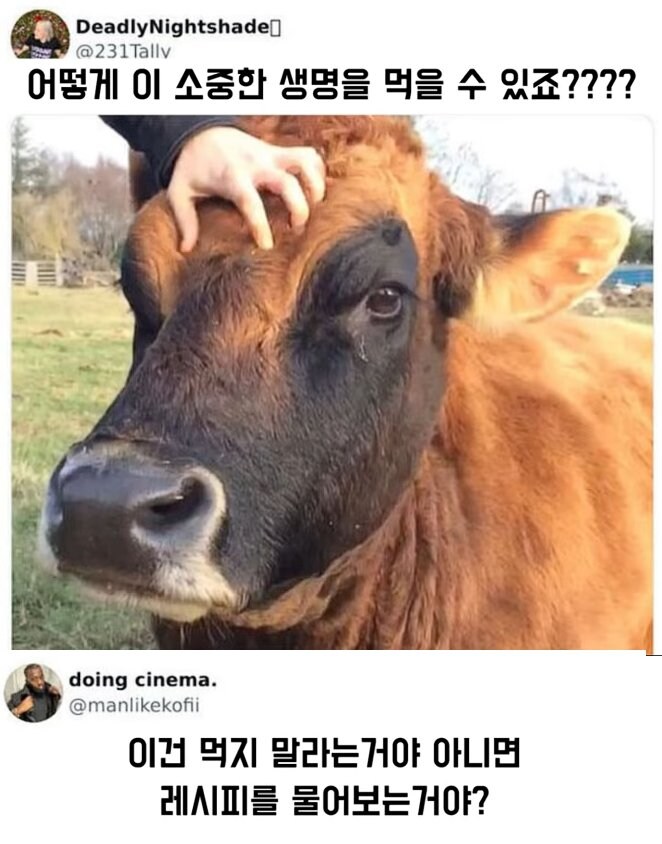 어떻게 이 생명을 먹을 수 있죠?_1.jpg