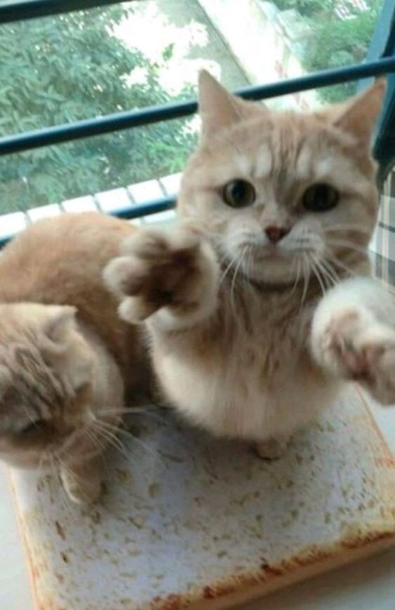 유게가 또 개판이되려하잖아?_3.jpg