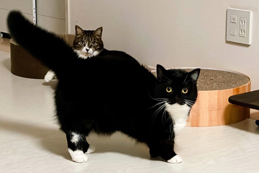 유게가 또 개판이되려하잖아?_5.jpg