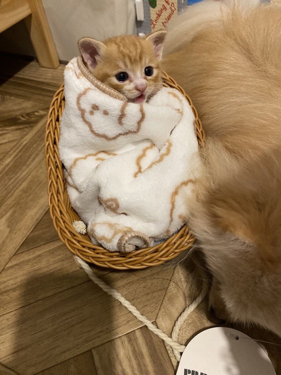 유게가 또 개판이되려하잖아?_7.jpg