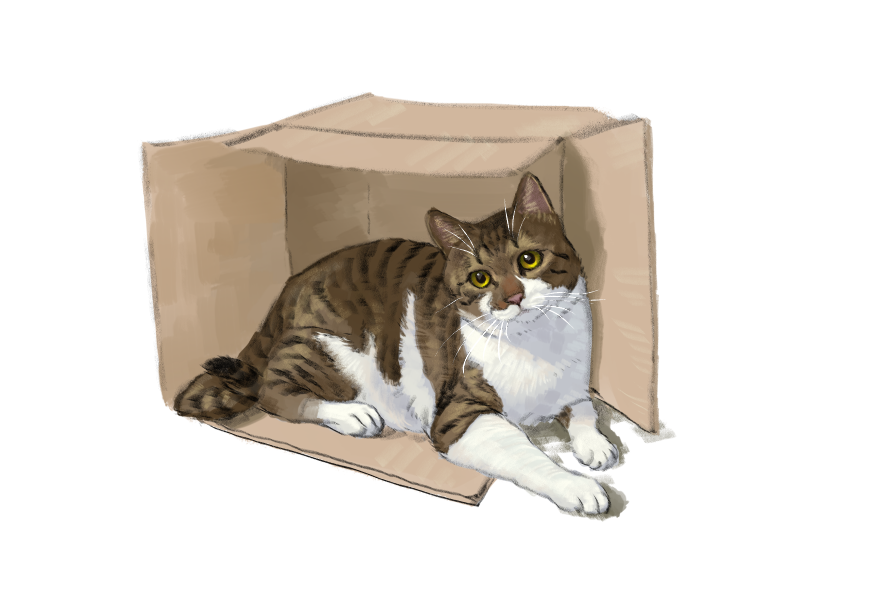 남의집 고양이 보고 가이소_2.png