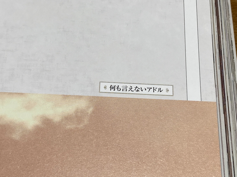 이스(イース)2 "천공의 실낙원" & 이스2 DS_34.jpg