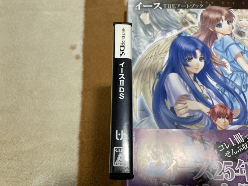 이스(イース)2 "천공의 실낙원" & 이스2 DS_42.jpg