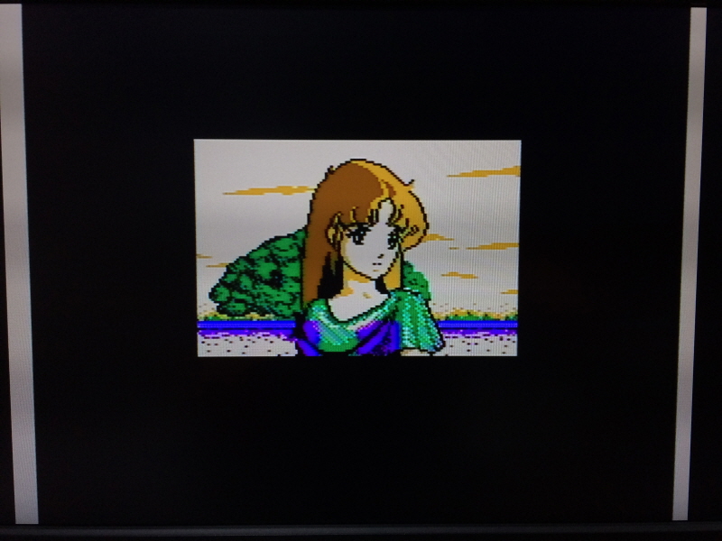 이스(イース)2 "천공의 실낙원" & 이스2 DS_190.jpg