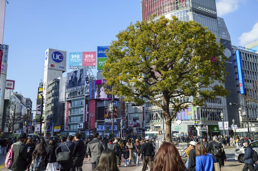 버튜버) 늦은 리글로스 라이브 후기 겸 도쿄 여행기! (사진 많음)_31.jpg