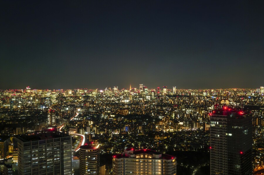 버튜버) 늦은 리글로스 라이브 후기 겸 도쿄 여행기! (사진 많음)_39.jpg