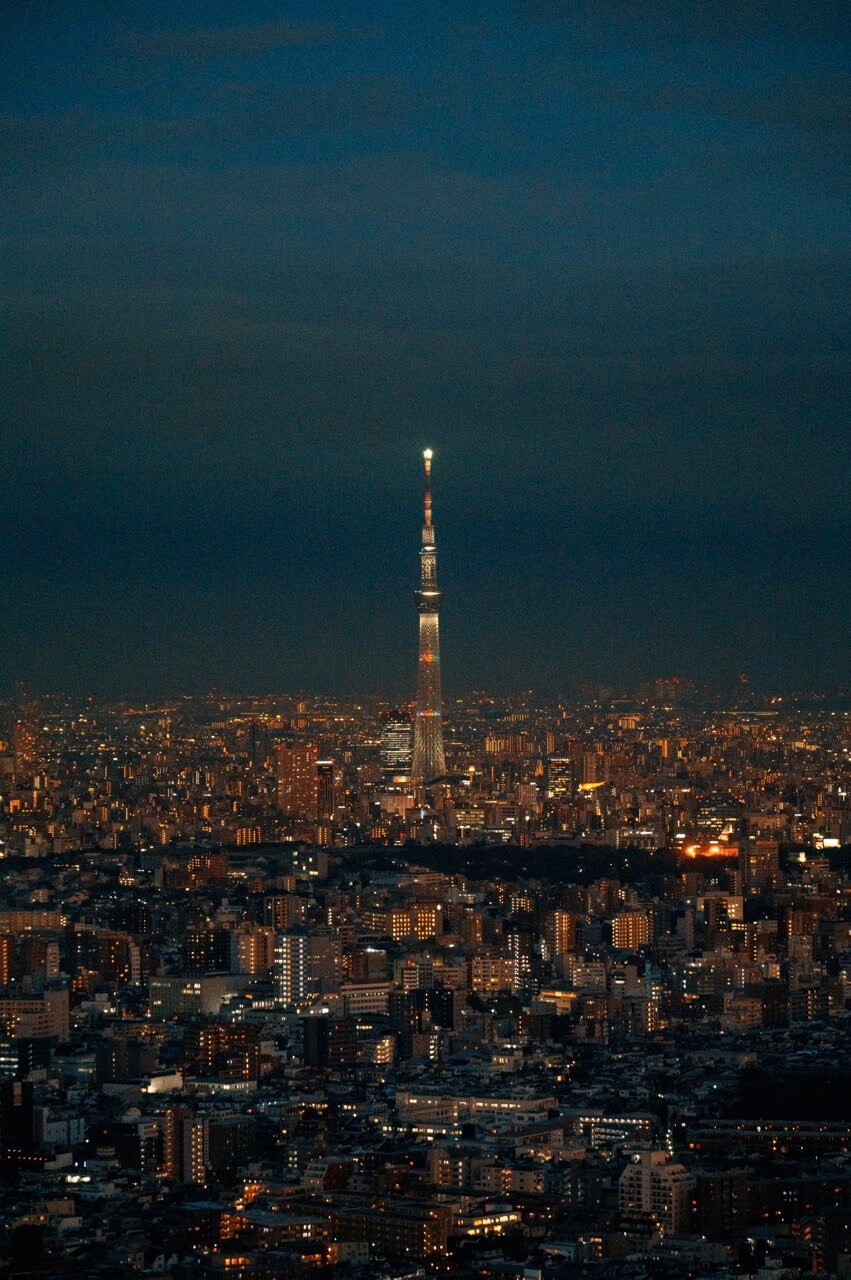 버튜버) 늦은 리글로스 라이브 후기 겸 도쿄 여행기! (사진 많음)_90.png